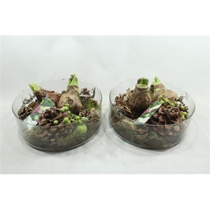 AM95 XXL CILINDER AMAR