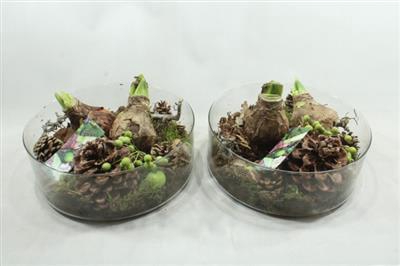 <h4>AM95 XL CILINDER AMAR</h4>