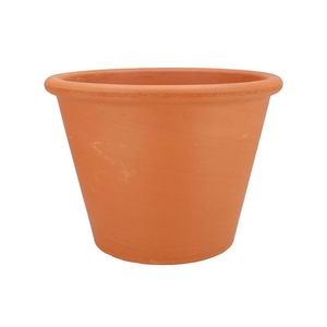 Terracotta Pompei Pot D35xh26cm