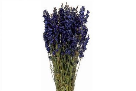 <h4>Bunch Delphinium Slv 100g L60</h4>