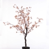 Blossom Tree in Pot Pink PP550060PNK