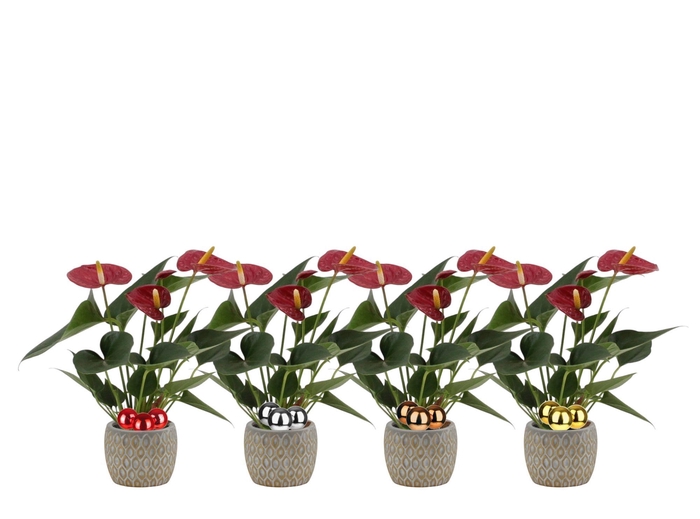 <h4>Anthurium 7 cm Diamond Red in Hamburg ceramics - stabber</h4>