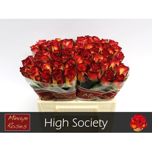 R GR HIGH SOCIETY