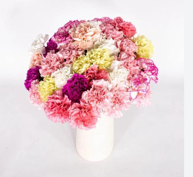 <h4>DI TR PASTEL MIX Tessa</h4>