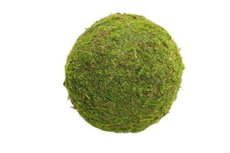 <h4>Ball Asia Moss 15cm Green</h4>