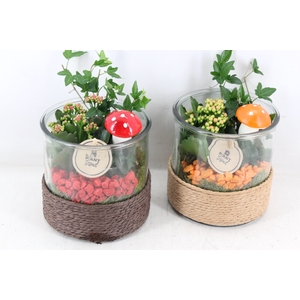 arr2 PL - Glas cilinder met touw - mix