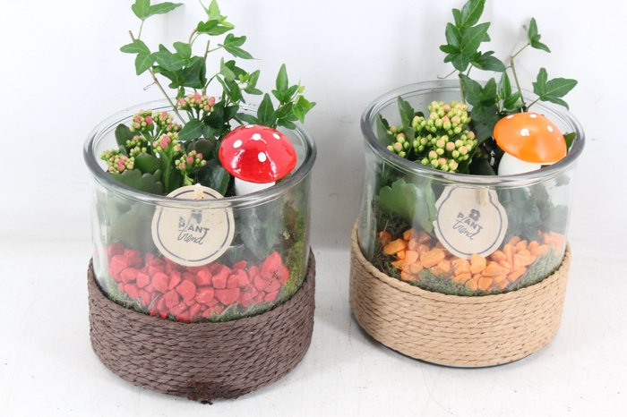 <h4>arr2 PL - Glas cilinder met touw - mix</h4>