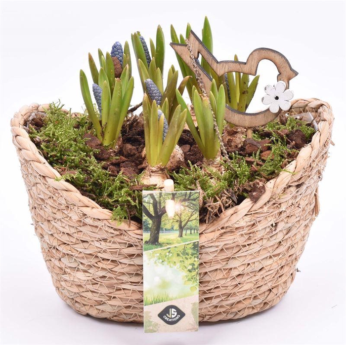 <h4>Jute mand ovaal 19x14cm</h4>