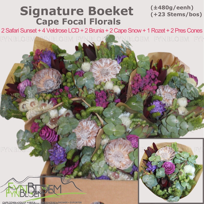 <h4>KAAPS GROE GEM IN BS</h4>