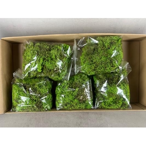 Moss Icelandic 500gr L.green