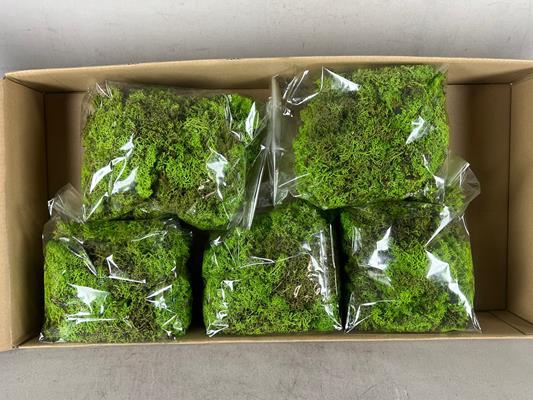 <h4>Moss Icelandic 500gr L.green</h4>