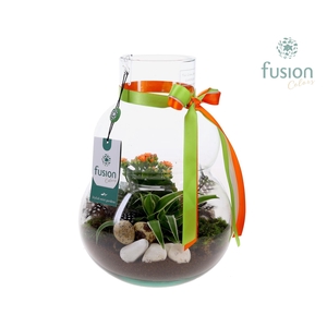 Green Bottle Olaf Medium met Pasen arrangement