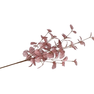 Silk Euca Cinerea Rose 72cm Nm