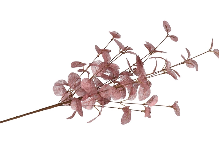 <h4>Silk Euca Cinerea Rose 72cm</h4>