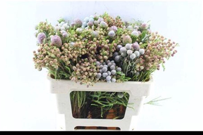 <h4>Kaaps Groen Gemengd In Bos</h4>