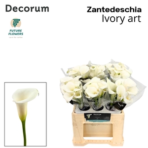 ZANT IVORY ART