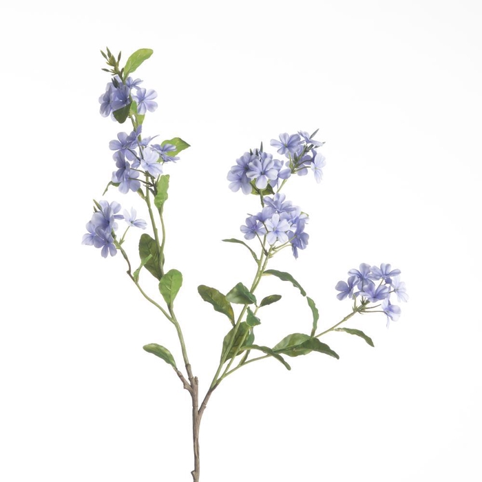 <h4>AF Plumbago spray L85cm blue</h4>