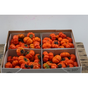 Sier Cucumis Solanum Orange X4