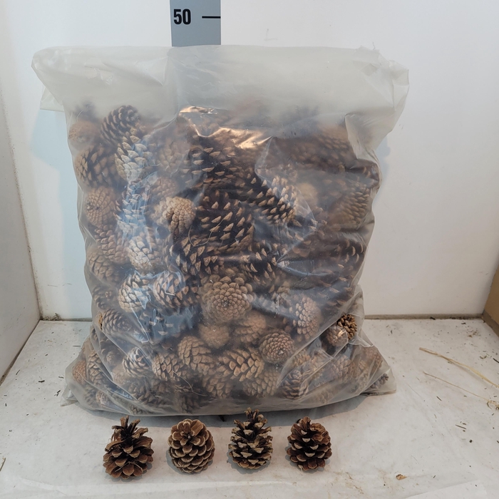 <h4>Huis En Tuindeco Ov</h4>