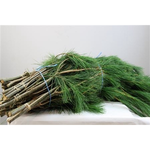 /KIEFER HANDBOS LANG EXTRA