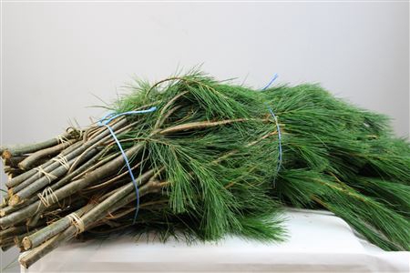 <h4>/KIEFER HANDBOS LANG EXTRA</h4>