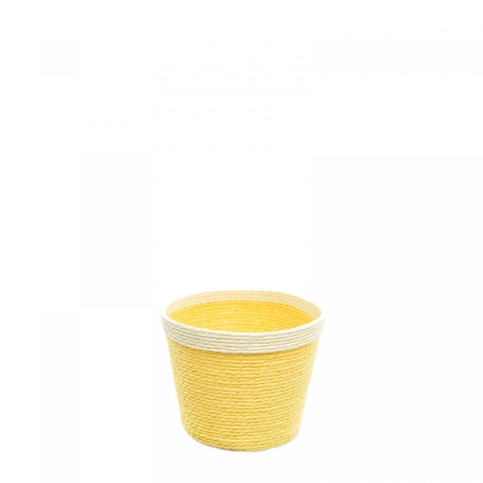 <h4>Baskets Maud pot d11*9.5cm</h4>