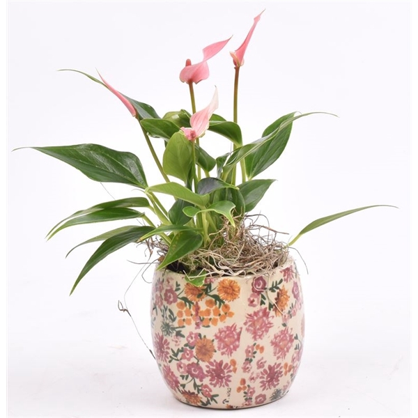 <h4>Keramiek decor pot 9CM</h4>