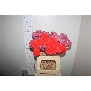 Hartje Op Stok H% Mix