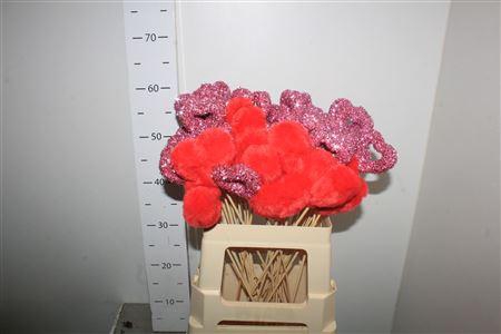 Hartje Op Stok H% Mix