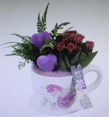 <h4>2266 IND XL KOP/SCHOTEL</h4>