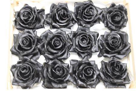 Wax Roos Zwart