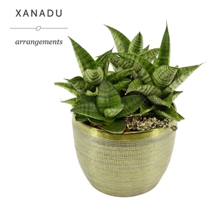 Xanadu Buenos Aires