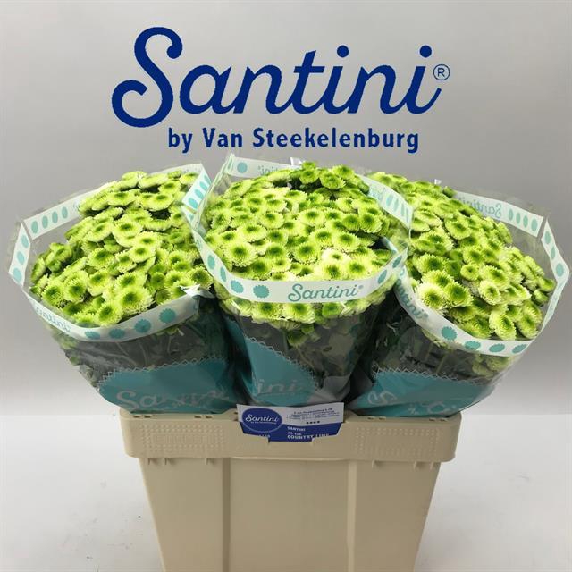 CHR SAN COUNTRY LIME