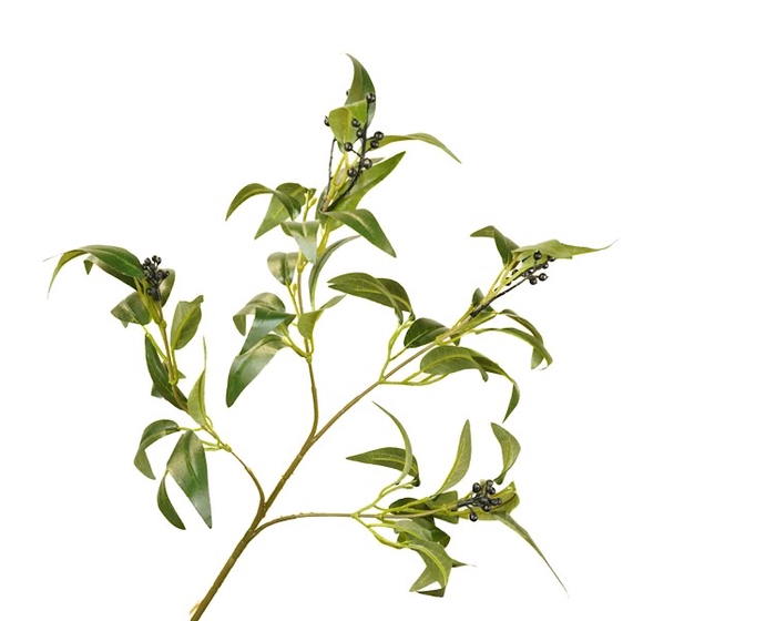 <h4>Ruscus Berry Branch Green</h4>