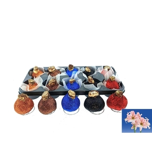 BLOEMBOL HIPPEASTRUM