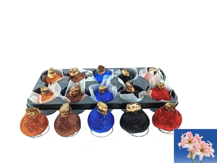 <h4>BLOEMBOL HIPPEASTRUM</h4>