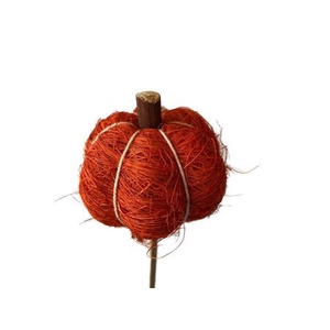 Deco Stem Pumpkin L50w7h6d7 Oranje