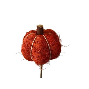 Stem Pumpkin L50w7h6d7 Oranje
