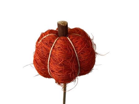 <h4>Deco Stem Pumpkin L50w7h6d7 Oranje</h4>