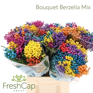 Bouquet Berzelia Mix