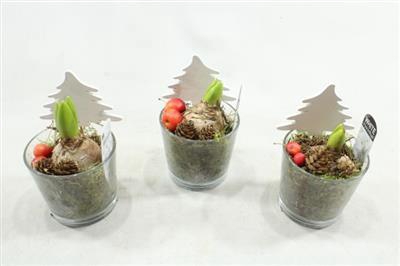 <h4>1134 PINDA-GLAS HYAC</h4>