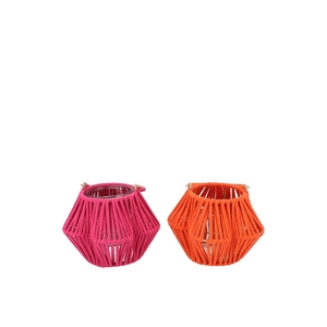 Cruz Orange Fuchsia Lantern Flower Ass 10x16x11cm