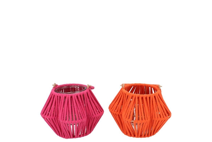 <h4>Cruz Orange Fuchsia Lantern Flower Ass 10x16x11cm</h4>