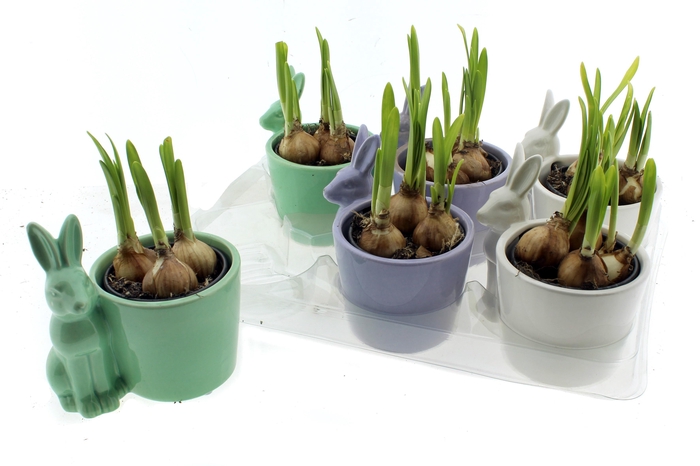 <h4>ARR N TETE A TETE</h4>