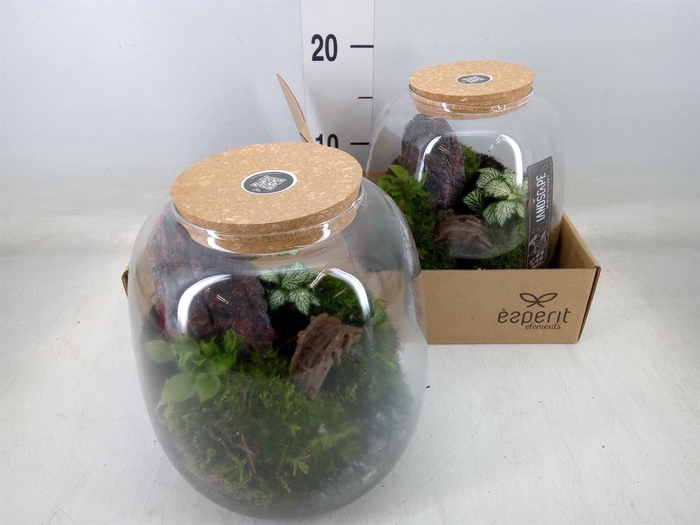 <h4>Arr.    Planten  H%</h4>