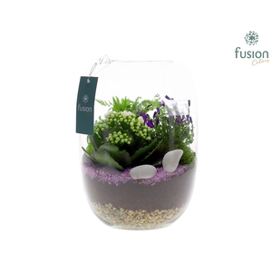 Green Bottle Isabella Large met Arrangement 24uur levertijd