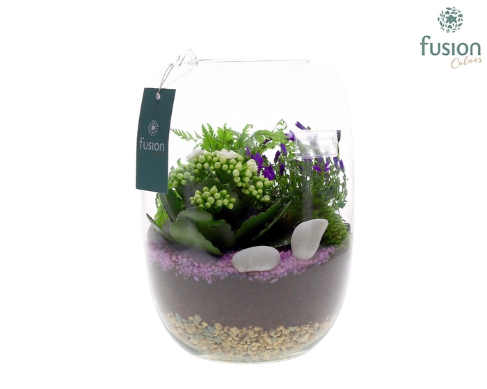 <h4>Green Bottle Isabella Large met Arrangement 24uur levertijd</h4>