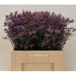 LIM SAF DARK BLUE 30gr