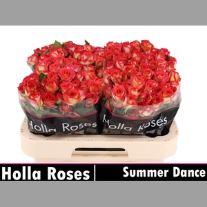 R TR SUMMER DANCE