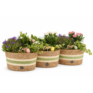 70894: Easter outdoor arrangement